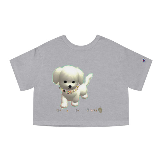 Champion Women's Heritage Cropped T-Shirt